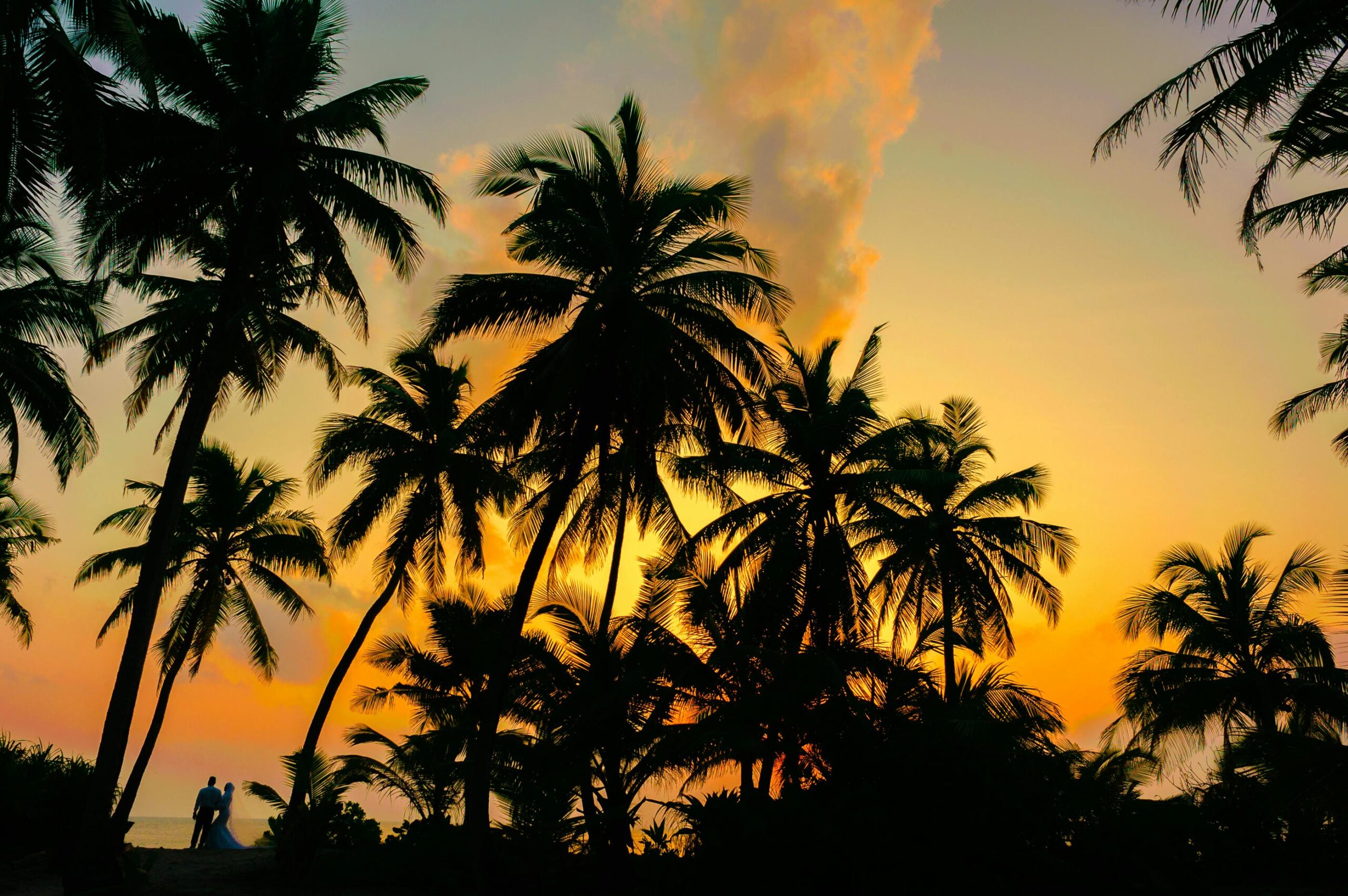 Silhouetted palm trees against a vibrant tropical sunset with a couple on a romantic beach walk.