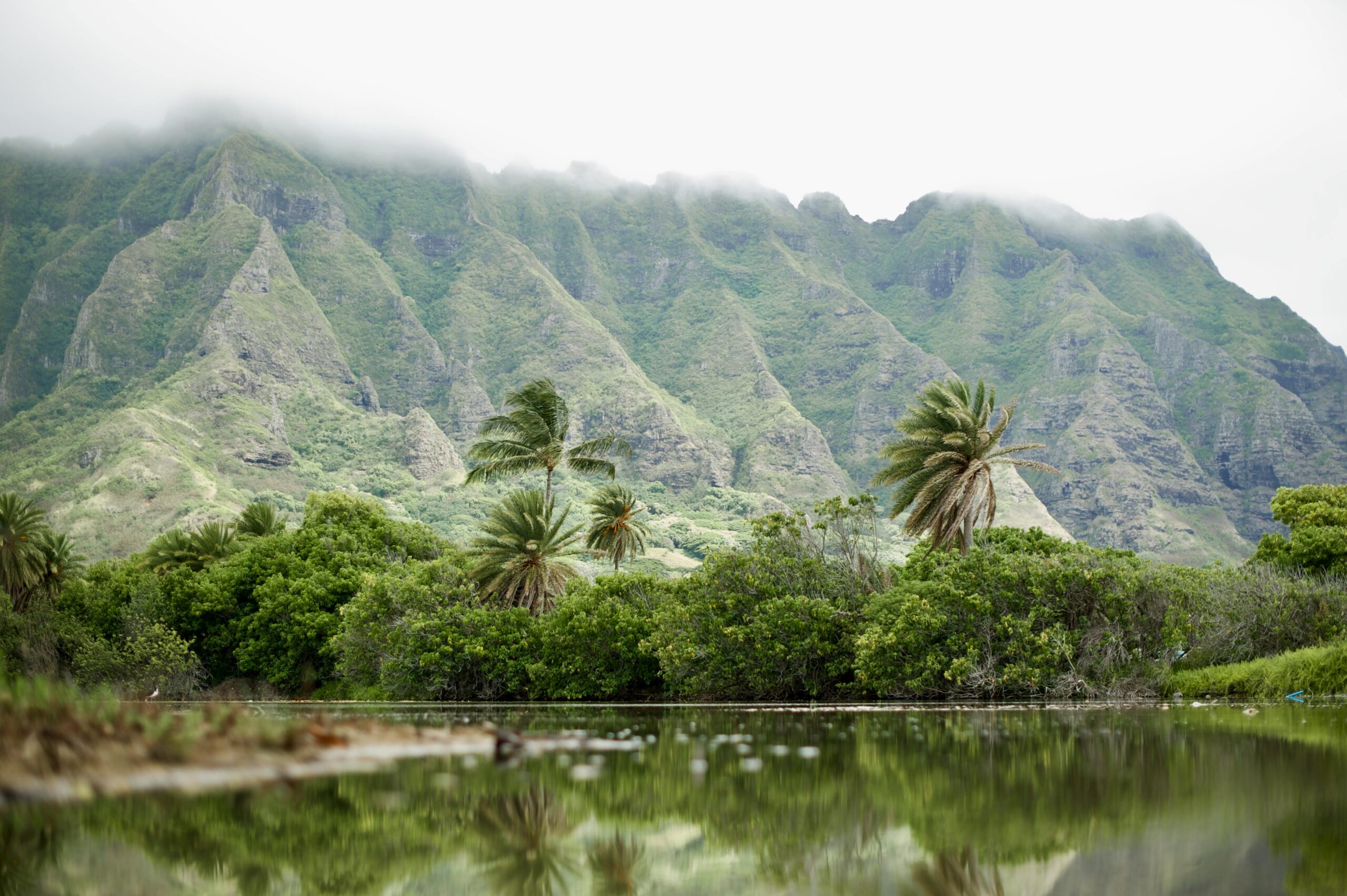 Stunning view of Ko'olau Mountains with lush tropical vegetation on Oahu, Hawaii.